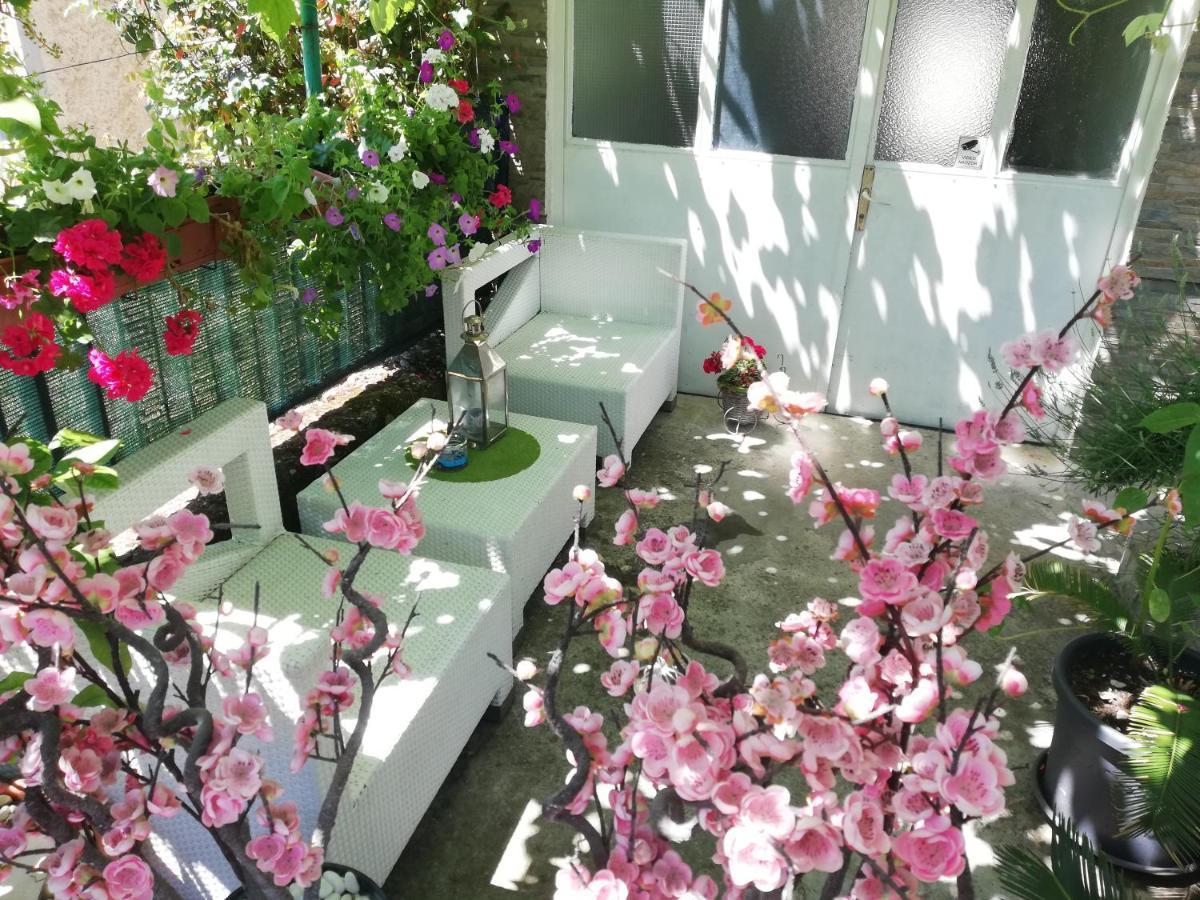 Apartman Teuta Zagreb Exterior foto